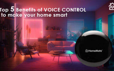 Top 5 Benefits Of Voice Control To Make Your Home Smart